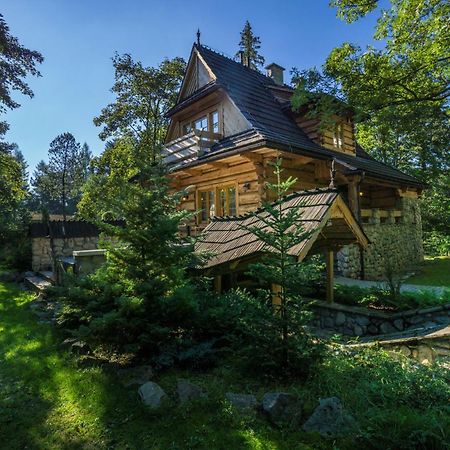 Dom Crocus Villa Закопане Екстериор снимка