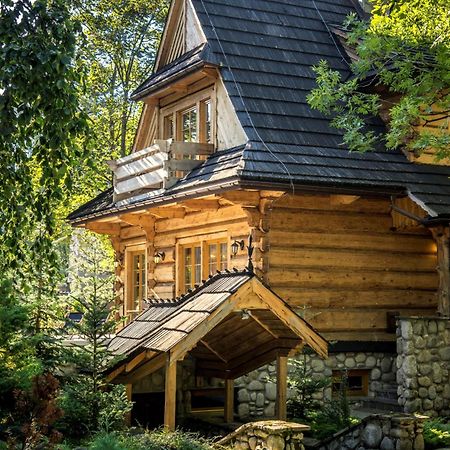 Dom Crocus Villa Закопане Екстериор снимка